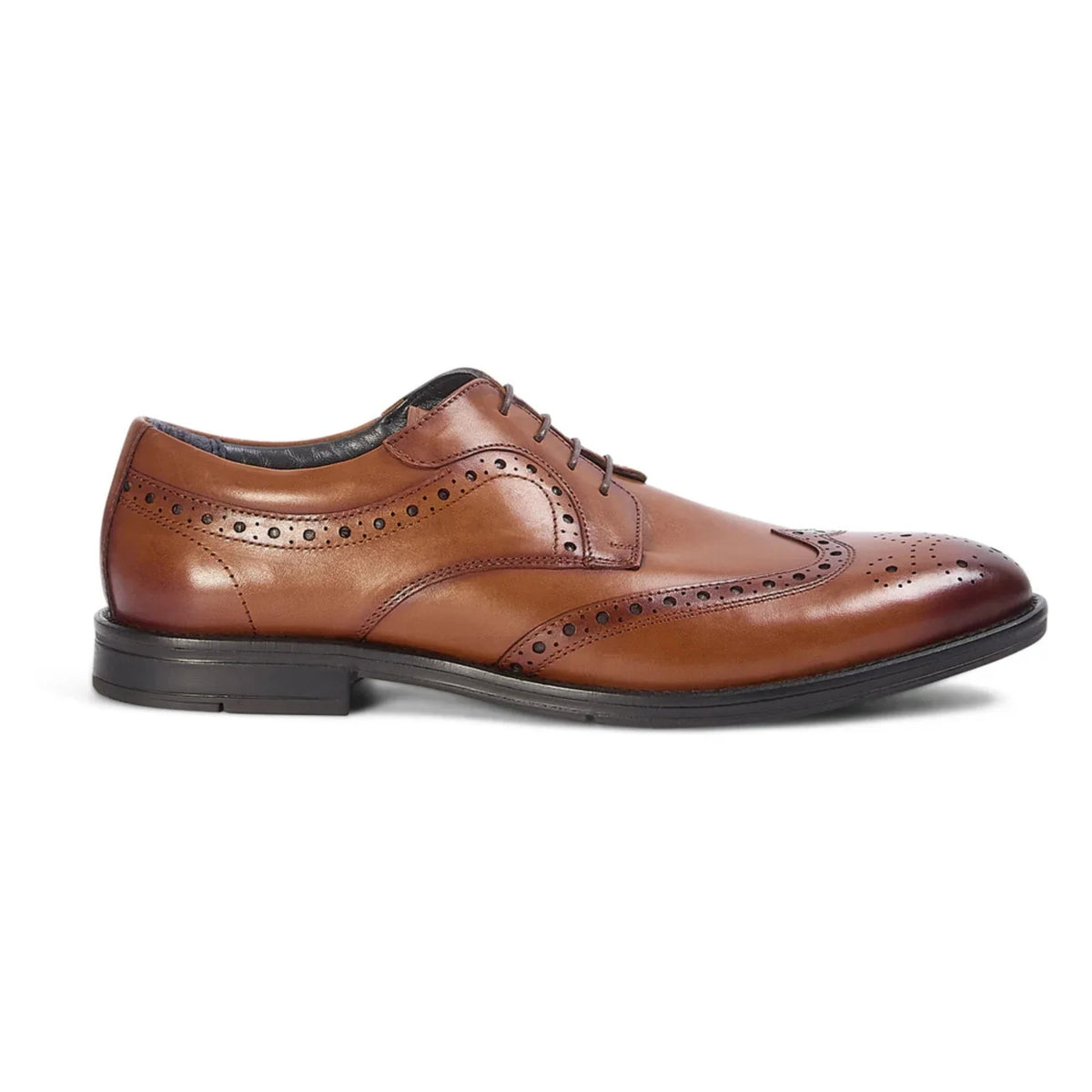 Cambridge - Brązowe, męskie buty typu brogue derby z zapięciem typu wingtip