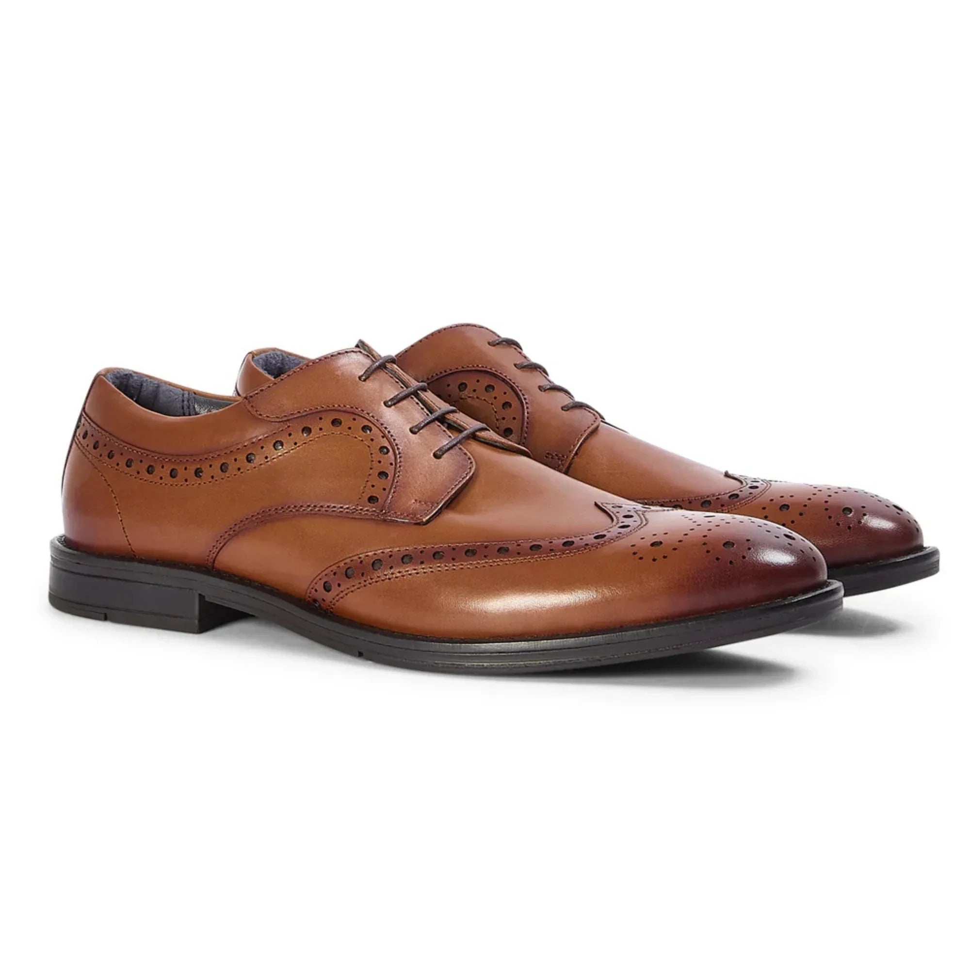 Cambridge - Brązowe, męskie buty typu brogue derby z zapięciem typu wingtip